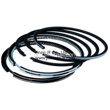 612600030053 612600030055 13022348 13022349 Piston Ring